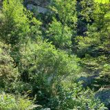 Геленджик, фото отдыхающего в июле