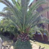 Адлер, фото отдыхающего в июле