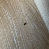 Геленджик, фото отдыхающего в августе