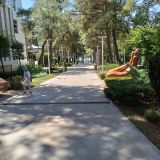 Гостиница Морская звезда, фото гостя