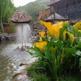 Кисловодск, фото отдыхающего в сентябре