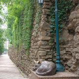 Кисловодск, фото отдыхающего в сентябре