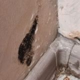 Гостевой дом Элени, фото гостя