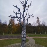 Республика Карелия, фото отдыхающего в октябре