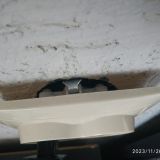 Гостиница Реал, фото гостя