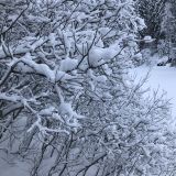 Сортавала, фото отдыхающего в декабре