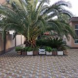 Адлер, фото отдыхающего в декабре