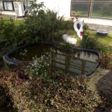 Адлер, фото отдыхающего в декабре