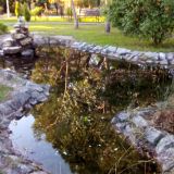 Адлер, фото отдыхающего в декабре