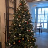 Отель Petra, фото гостя