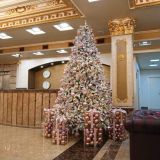 Отель Royal Plaza by Stellar Hotels Yerevan, фото гостя