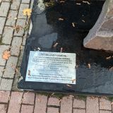 Подмосковье, фото отдыхающего в декабре