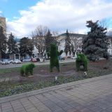 Майкоп, фото отдыхающего в январе