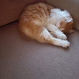 Ресторанно-гостиничный комплекс Старая Слобода, фото гостя