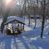 Мини-отель Kamchatka Forest Lodge, фото гостя