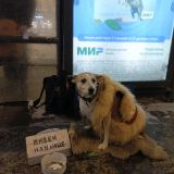 Санкт-Петербург, фото отдыхающего в январе