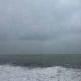 Адлер, фото отдыхающего в феврале