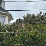 Адлер, фото отдыхающего в феврале