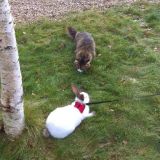 Красноярский край, фото отдыхающего в январе