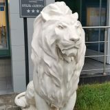 Отель Элкус, фото гостя