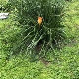 Адлер, фото отдыхающего в феврале