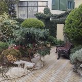 Адлер, фото отдыхающего в феврале