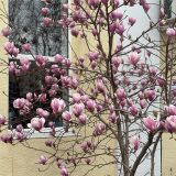 Геленджик, фото отдыхающего в марте