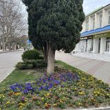 Геленджик, фото отдыхающего в марте