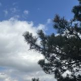 Кисловодск, фото отдыхающего в марте