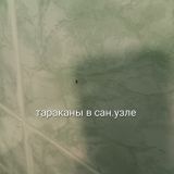 Апартаменты Aparts Norke Sadovaya, фото гостя