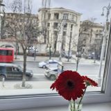 Апартаменты Счастье жить в Севастополе, фото гостя