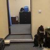 Отель Роза, фото гостя