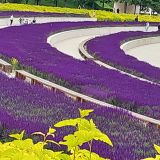 Краснодар, фото отдыхающего в мае