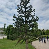 Краснодар, фото отдыхающего в мае