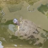 Гостевой дом Эдем-2, фото гостя