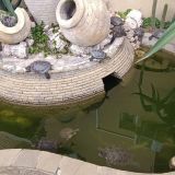 Гостевой дом Эдем-2, фото гостя