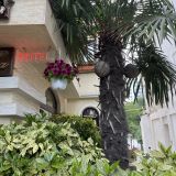 Алушта, фото отдыхающего в мае