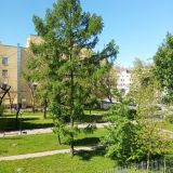 Отель Norke КАЗАНСКИЙ, фото гостя