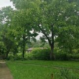 Гостевой дом Хижина, фото гостя