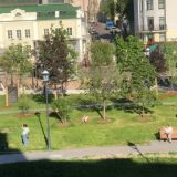 Мини-отель Guest Room SAD 2, фото гостя