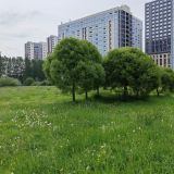 Отель Salut-11, фото гостя