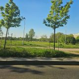 Отель Элкус, фото гостя