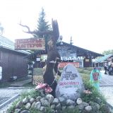 Суздаль, фото отдыхающего в июне