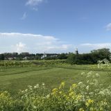 Суздаль, фото отдыхающего в июне