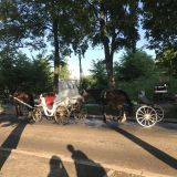 Суздаль, фото отдыхающего в июне