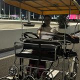 Сириус, фото отдыхающего в июне