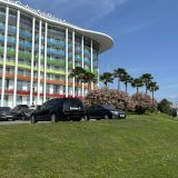 Сириус, фото отдыхающего в июне