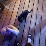 Отель Нарния, фото гостя