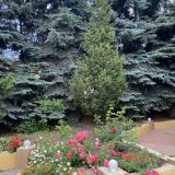 Гостиница Держава, фото гостя