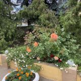 Гостиница Держава, фото гостя